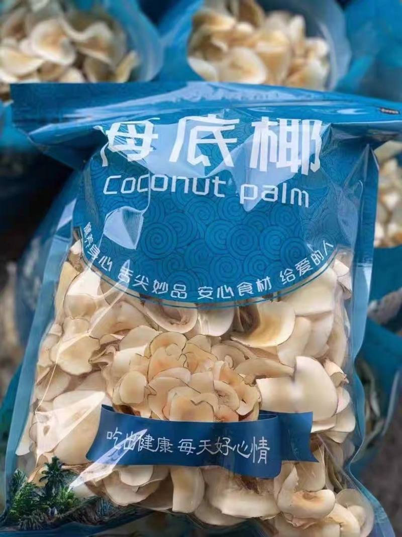 海底椰白片新鲜海底椰片雪梨煲糖水新鲜煲汤清补凉