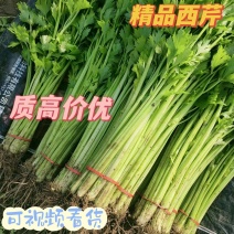 香芹品质有保障，诚信经营，量大从优，欢迎选购
