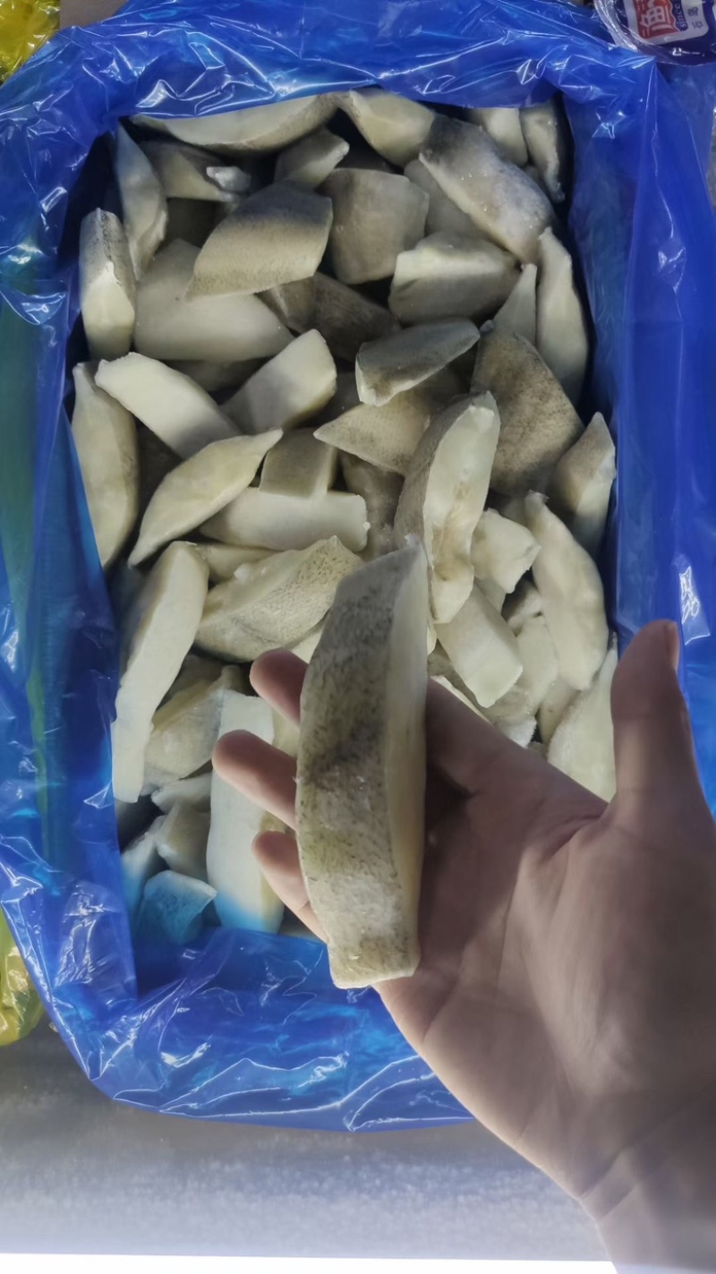 碟鱼块