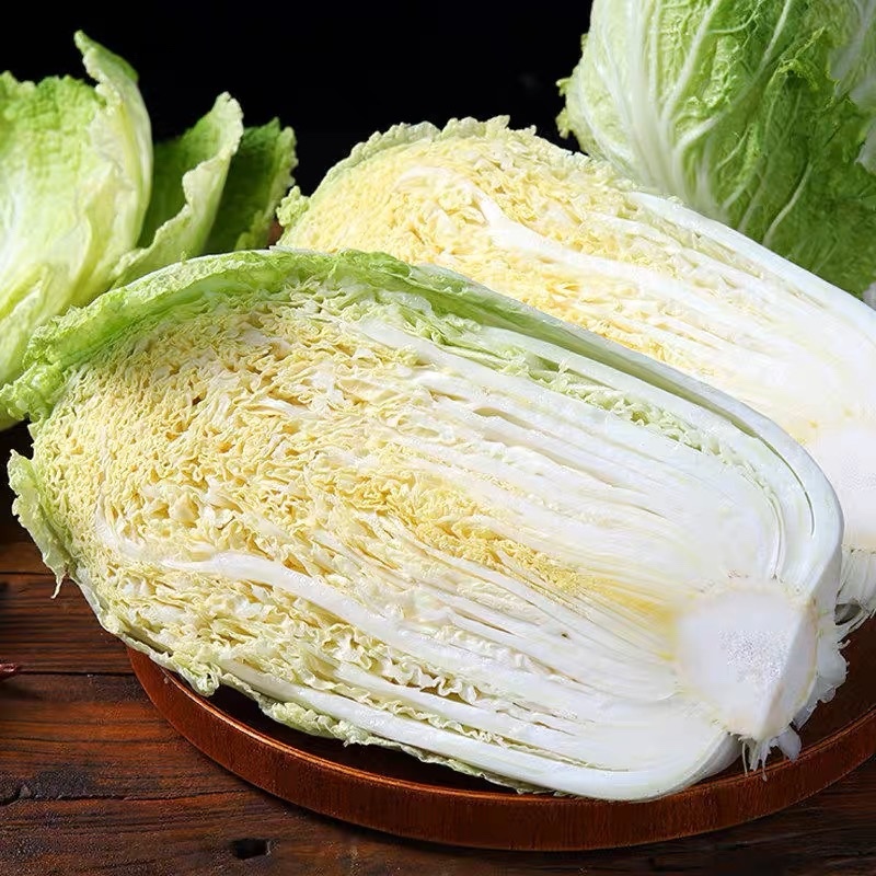 精品大白菜，价格优惠，产地一手货源质量保证，可发全国
