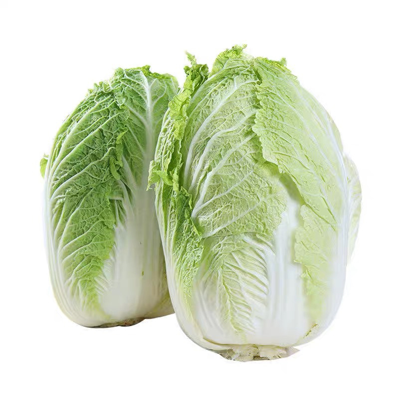 安徽大白菜，精品大白菜质量保证，量大从优全国供应