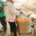 花生秧草料，牛羊草饲料，无土无杂质深加工，花生秸秆草段