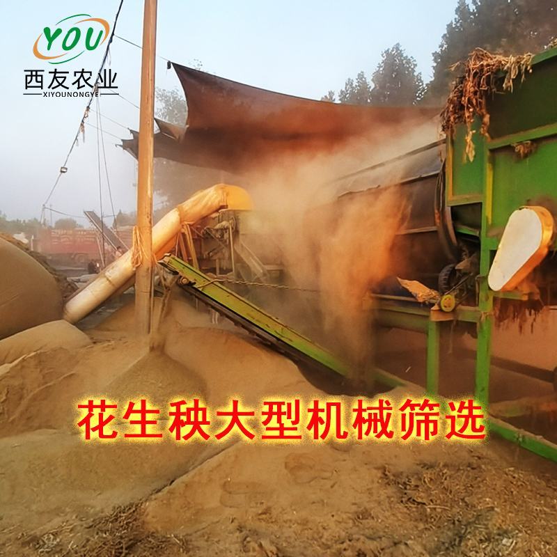 花生秧草料，牛羊草饲料，无土无杂质深加工，花生秸秆草段