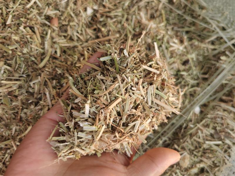 花生秧草料，牛羊草饲料，无土无杂质深加工，花生秸秆草段