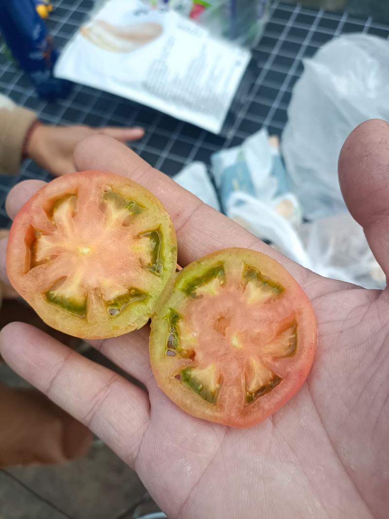 草莓柿子