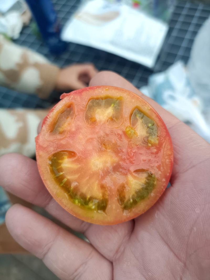 草莓柿子
