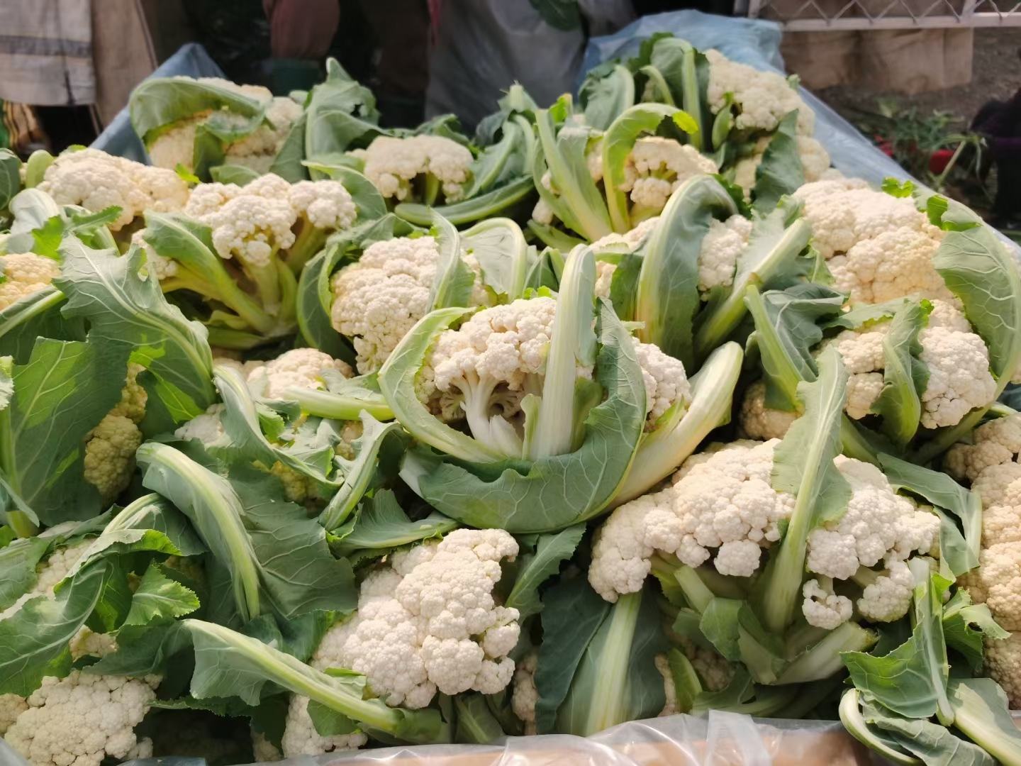 菜花叶烹饪示意图