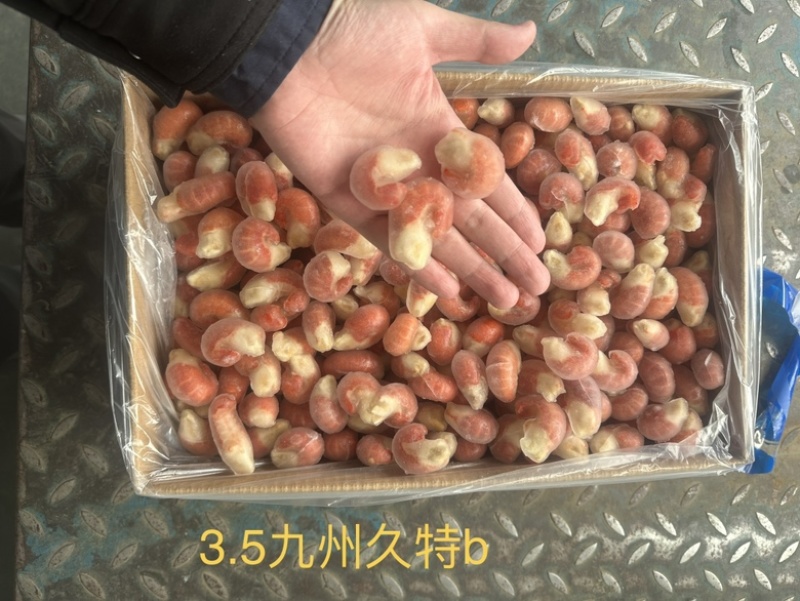 3.5九州久特B单冻龙虾尾4.5KG装