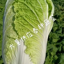 白菜