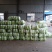 大白菜大量上市中品质保证物美价廉欢迎各位咨询
