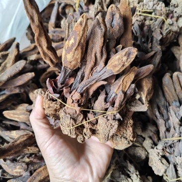 回春草干货_自然晒干_本色