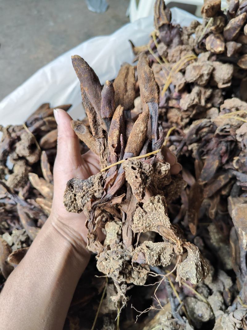 回春草干货_自然晒干_本色