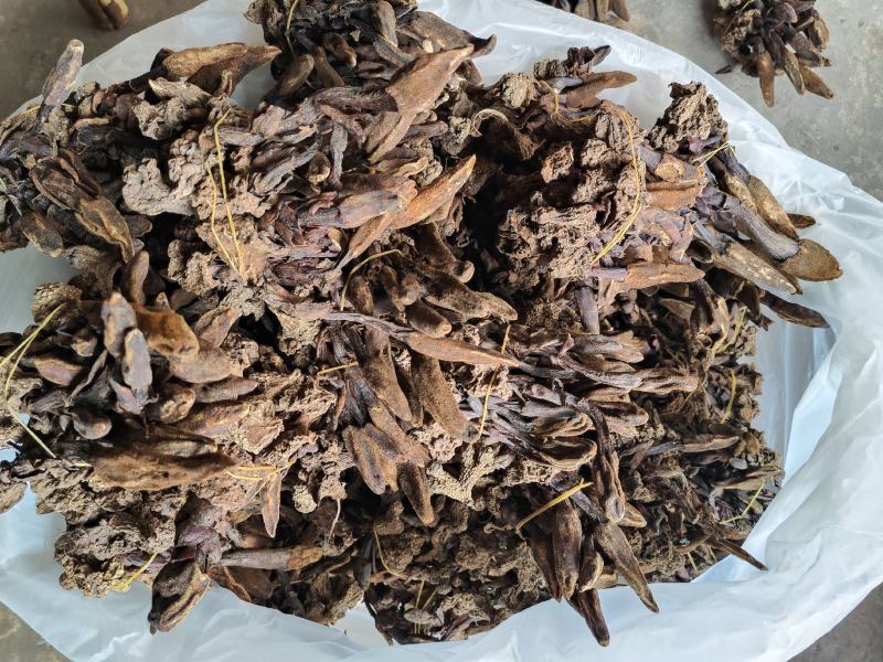回春草干货_自然晒干_本色