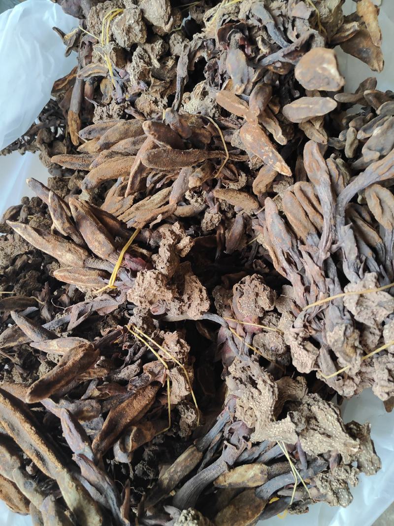 回春草干货_自然晒干_本色