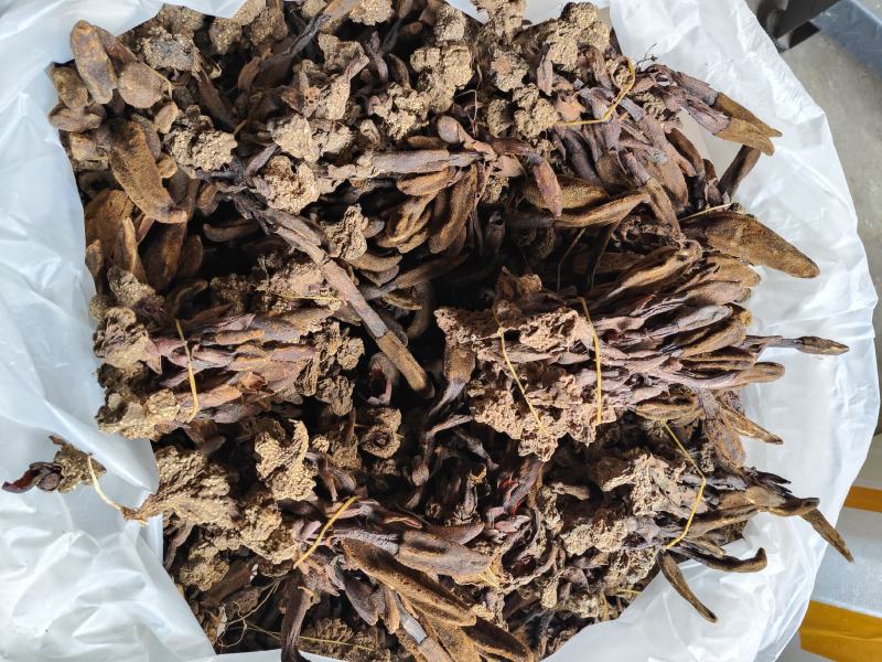 回春草干货_自然晒干_本色