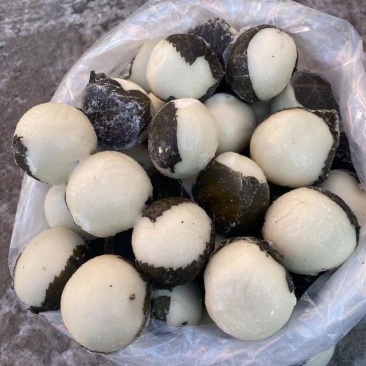 粘豆包