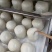 粘豆包