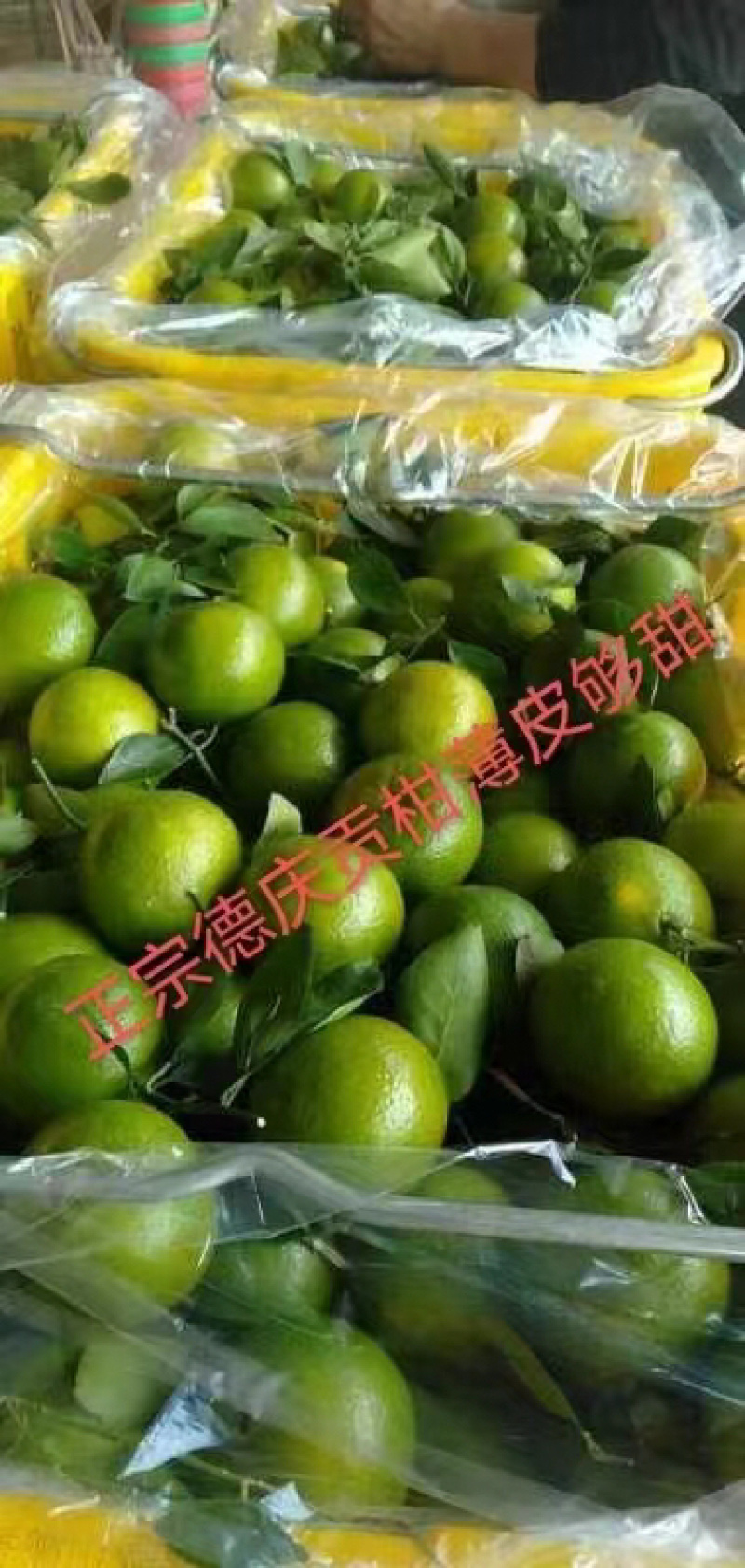 专业代卖代销。。寻找有实力供货商。