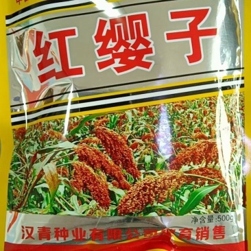 红缨子