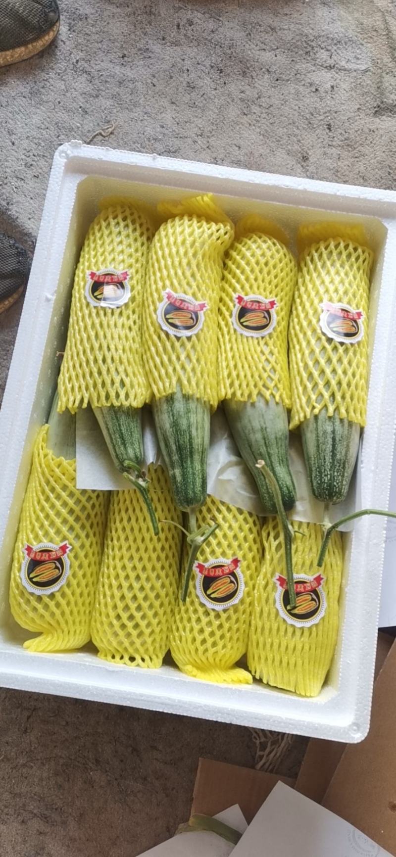 寿光羊角蜜甜瓜原产地直发商超品质一手货源保质质量