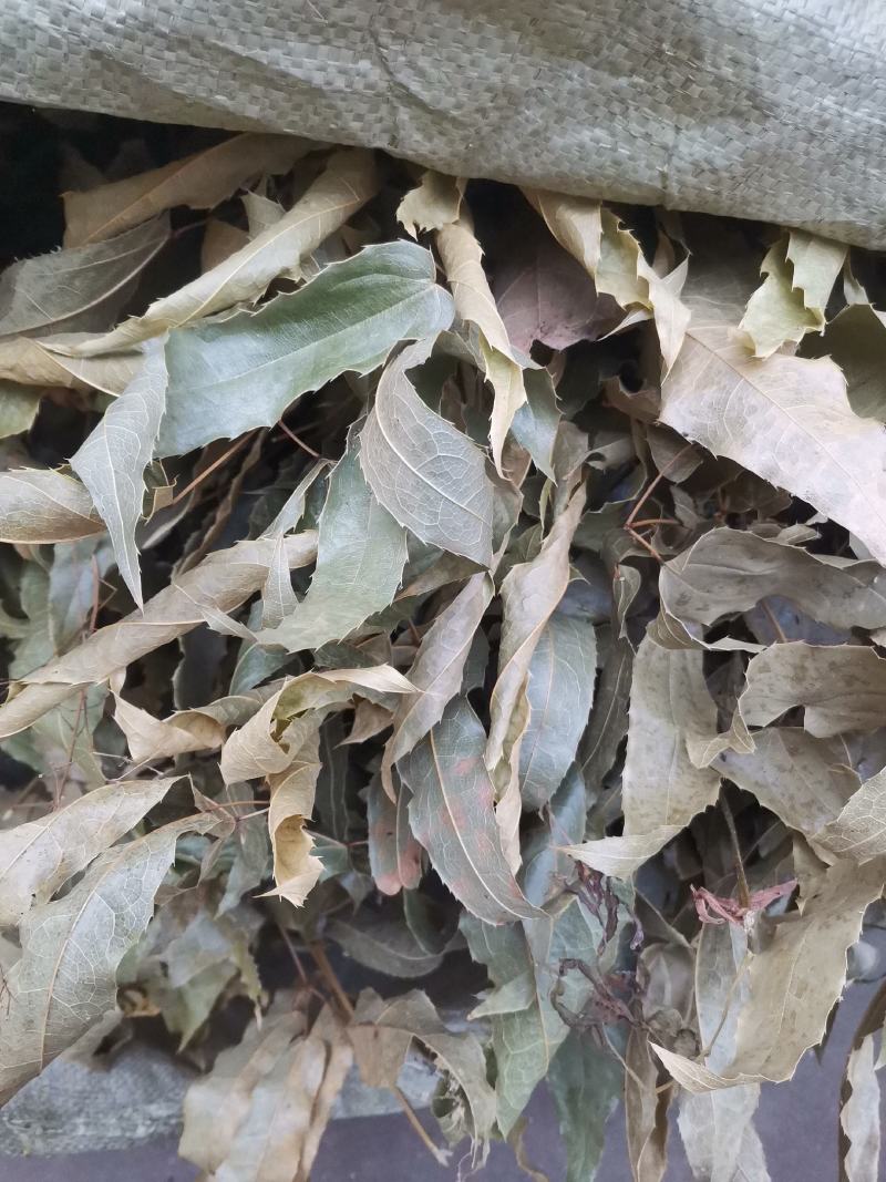 柔毛叶淫羊藿，箭叶淫羊藿，仙灵脾，淫羊藿根