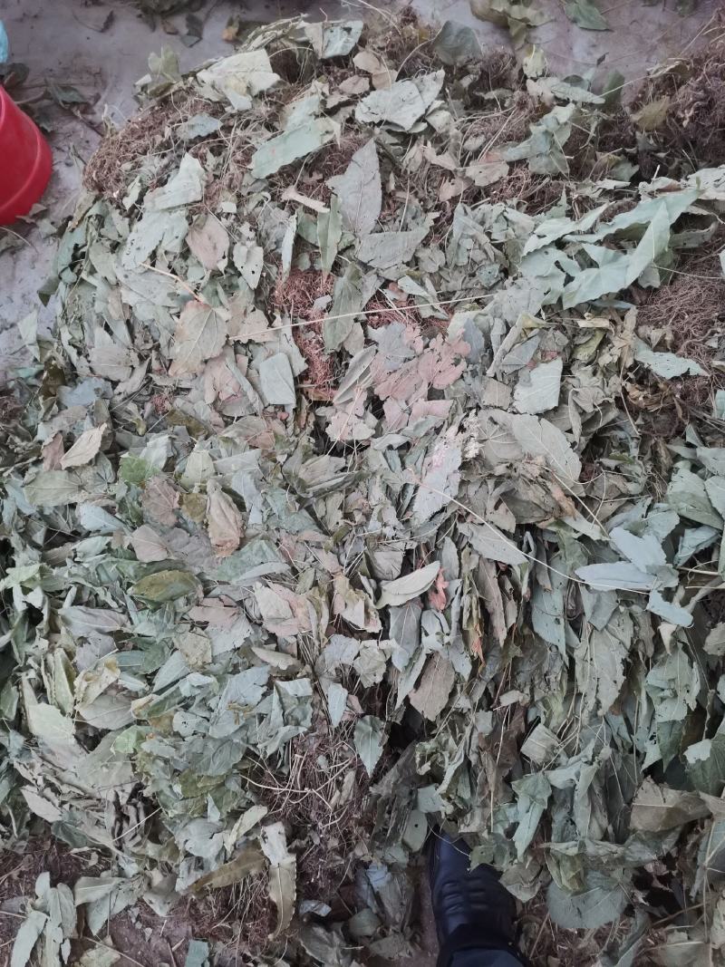 柔毛叶淫羊藿，箭叶淫羊藿，仙灵脾，淫羊藿根