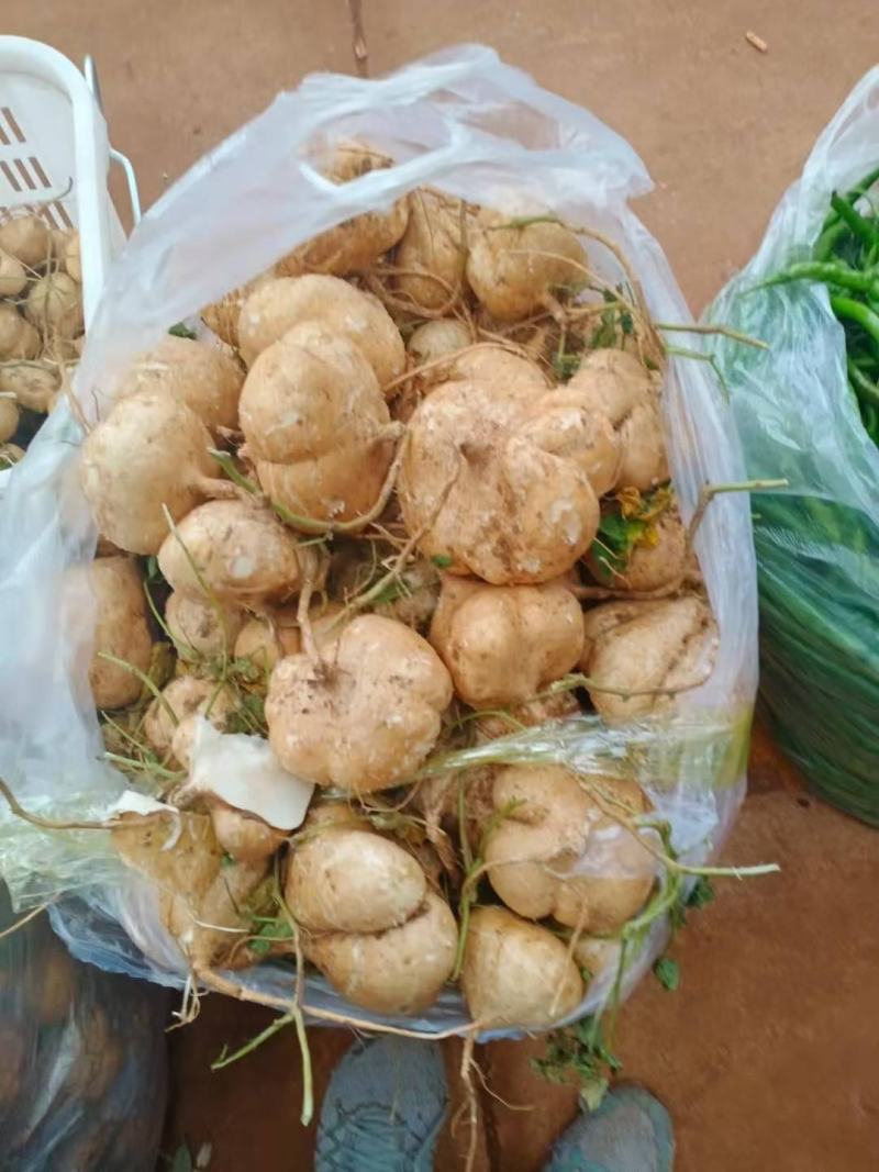 豆薯，大量上市，无渣，新鲜，基地一手货源，欢迎选购