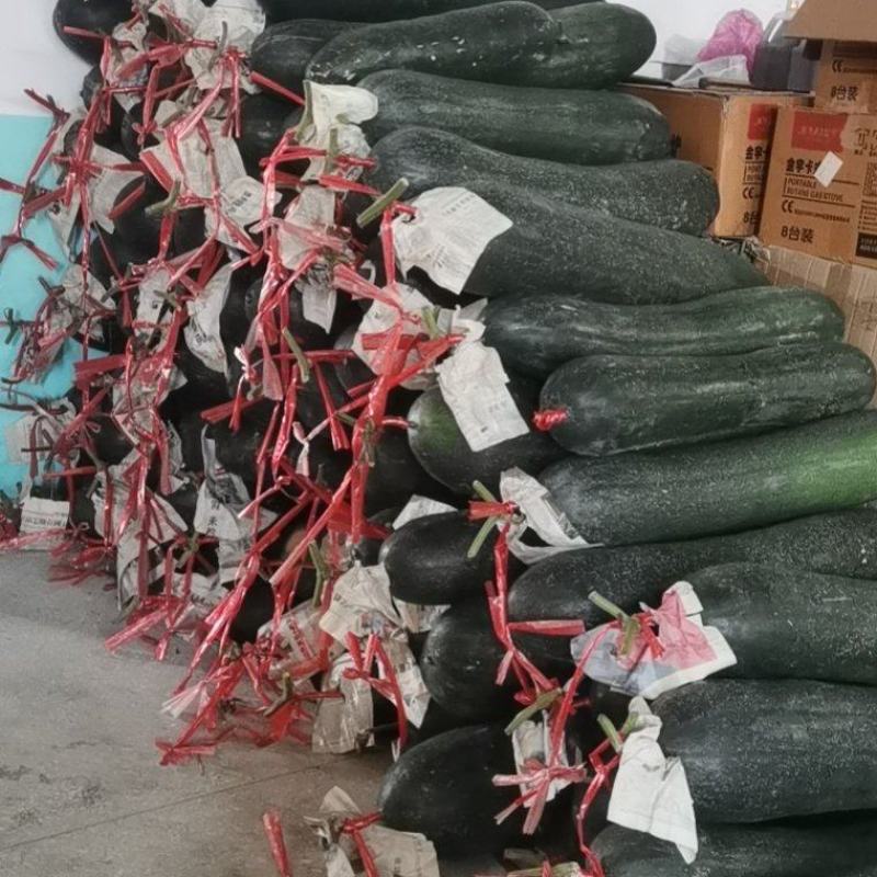 精品黑皮冬瓜，价格美丽