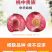 中华血桃苗保湿发货死苗立补假苗立赔技术指导