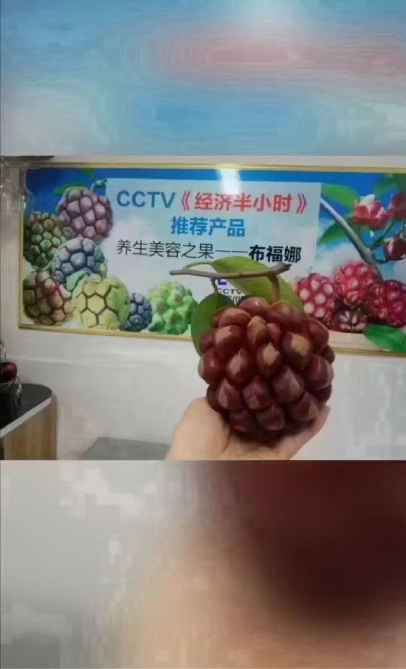 黑老虎布福娜