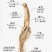 东北特产干货好品质品相好