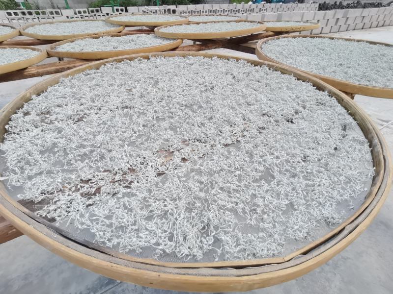 湘西藤茶