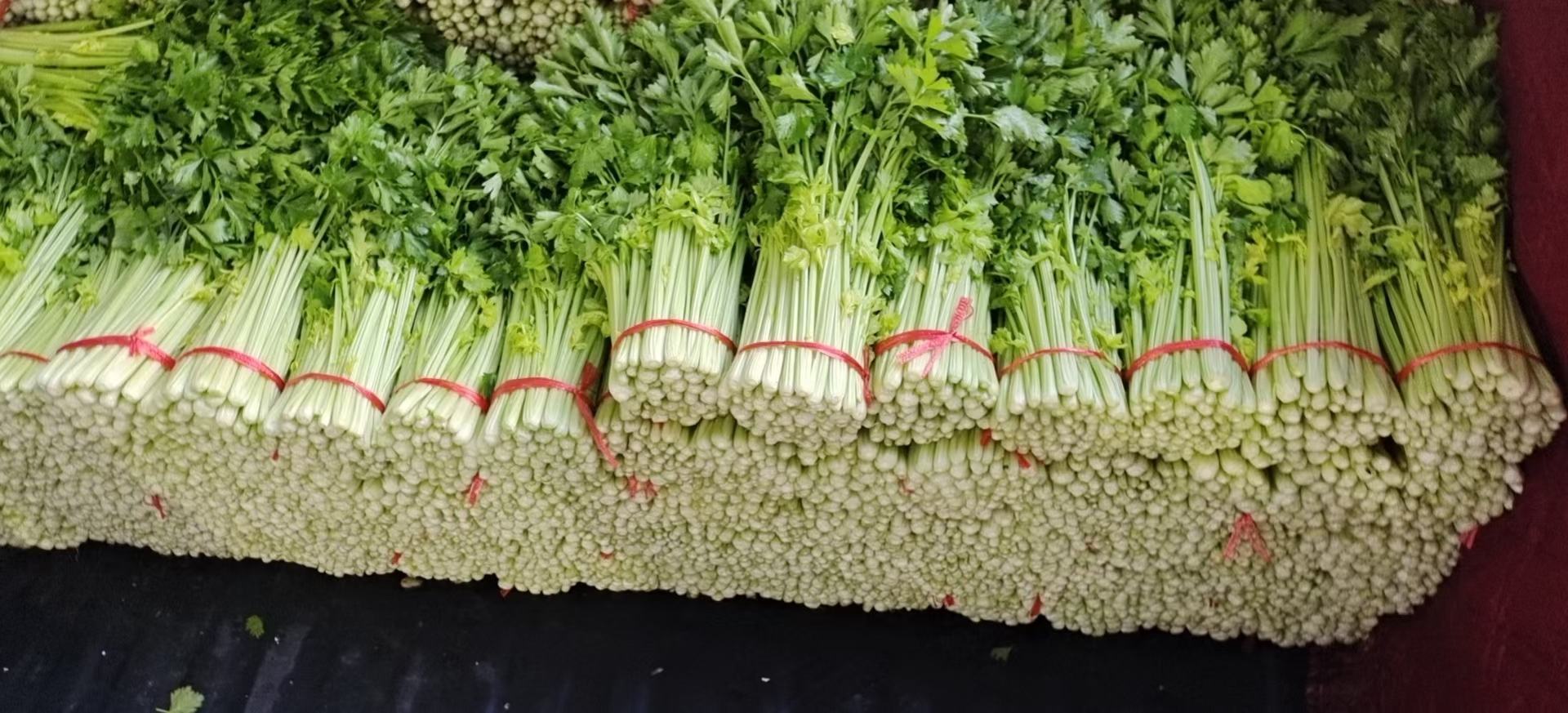 毛芹凉拌成品图