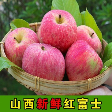 山西红富士苹果大果超新鲜又脆又甜产地现摘直发代发