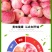 山西红富士苹果大果超新鲜又脆又甜产地现摘直发代发