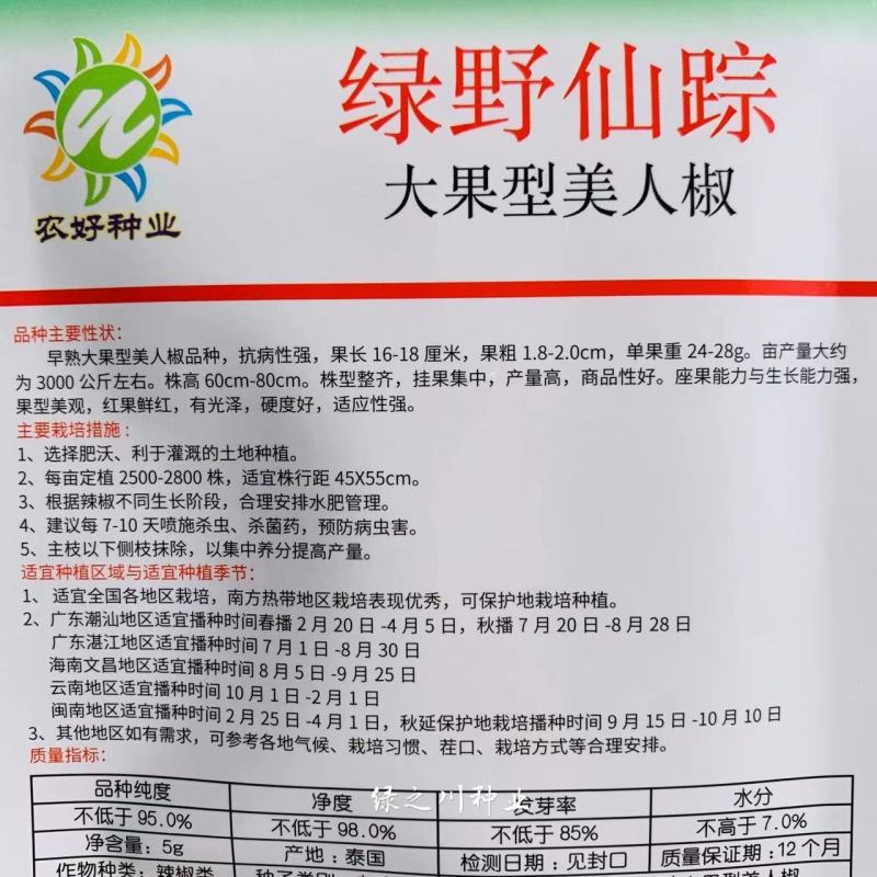 泰国进口大果型美人椒种子红辣椒种子早熟绿野仙踪美人椒