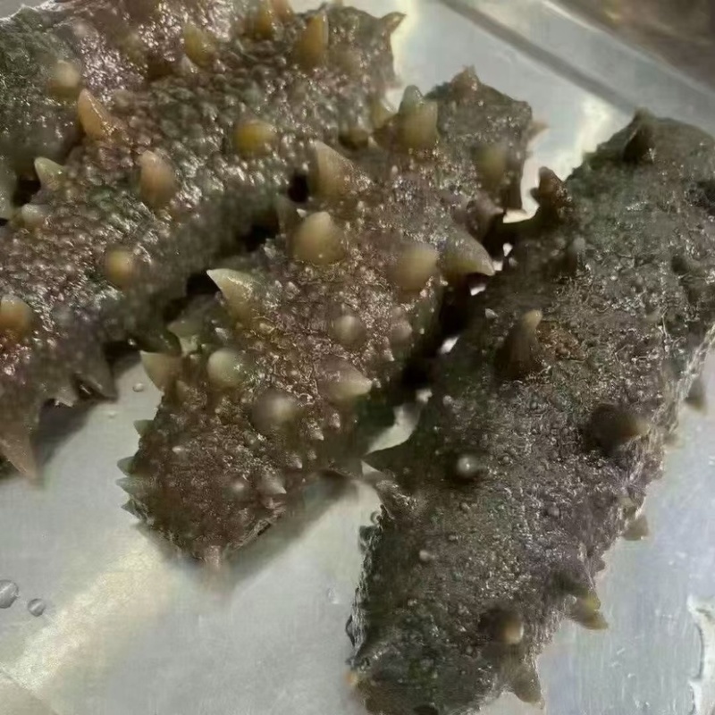 大连海参干刺参干货6倍-8倍泡发不添加真淡干孕妇