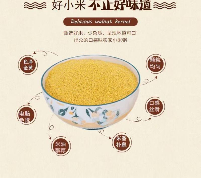 黄金小米