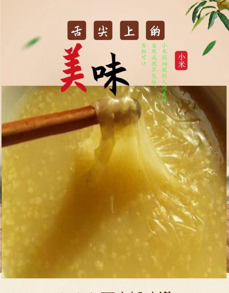 黄金小米