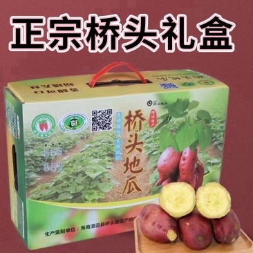 正宗海南桥头地瓜产地批发净果价精品礼盒装