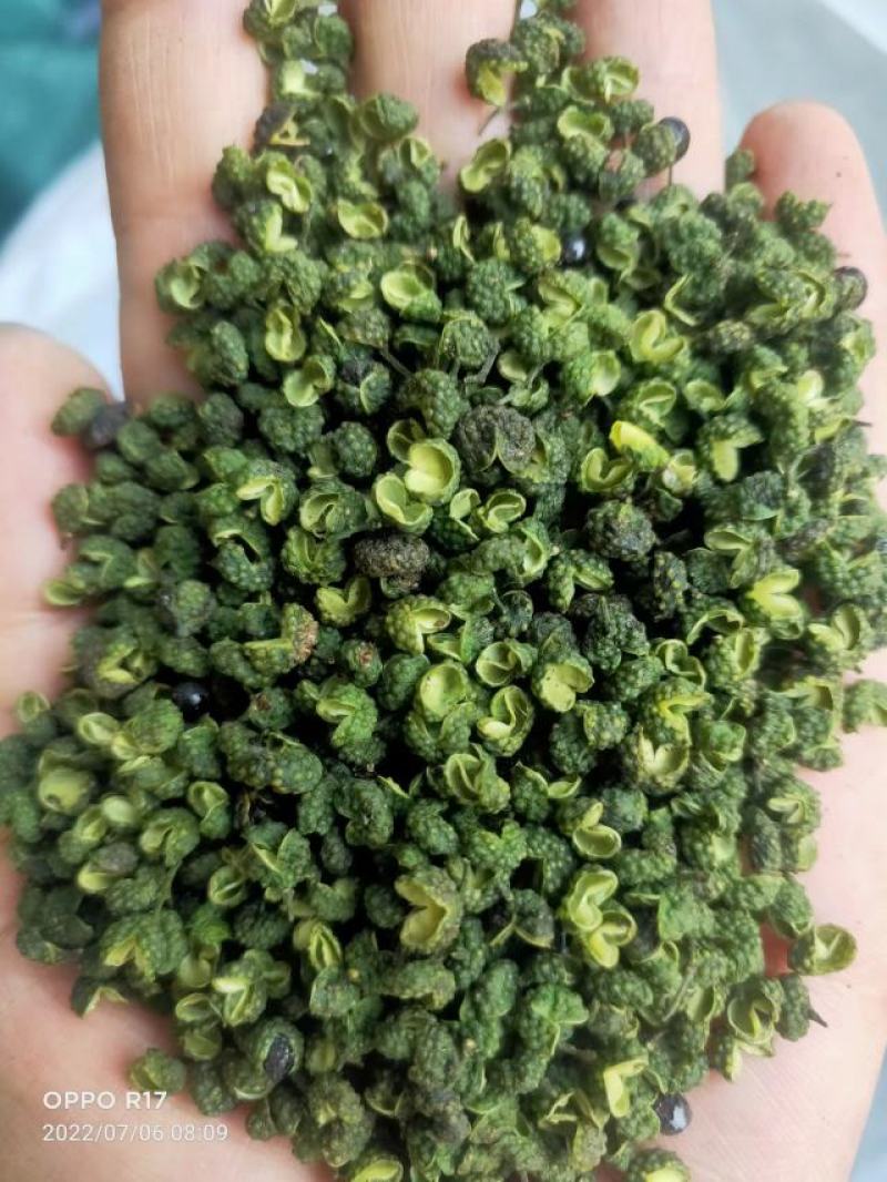 青花椒，特彶青花椒