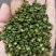 青花椒，特彶青花椒