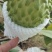 释迦果