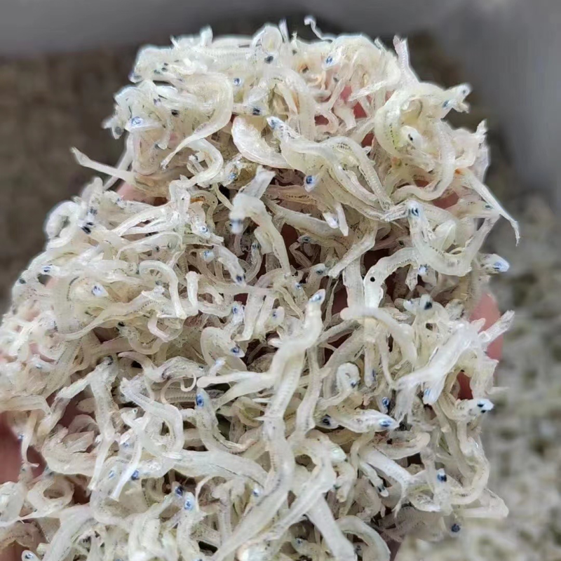 丁香鱼干东山岛拉山网香甜美味入口即化宝宝辅食