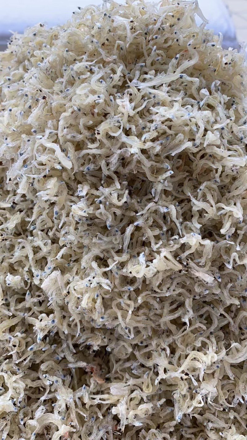 丁香鱼干东山岛拉山网香甜美味入口即化宝宝辅食