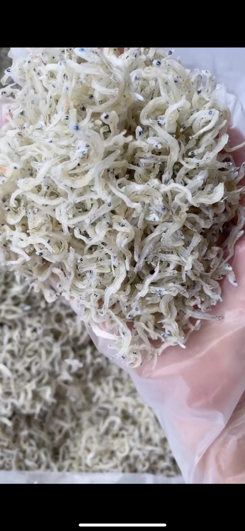 丁香鱼干东山岛拉山网香甜美味入口即化宝宝辅食
