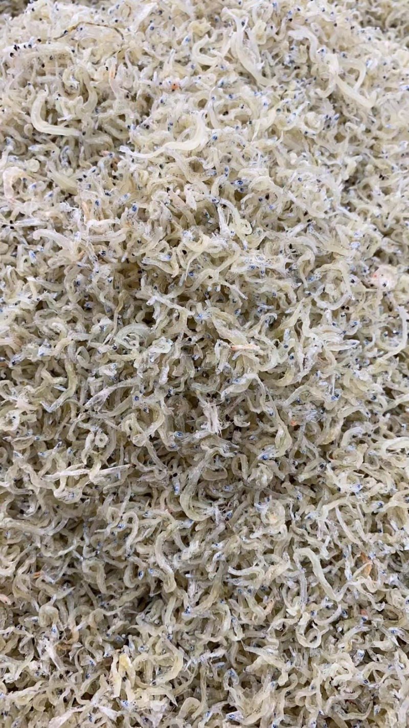 丁香鱼干东山岛拉山网香甜美味入口即化宝宝辅食