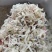 丁香鱼干东山岛拉山网香甜美味入口即化宝宝辅食