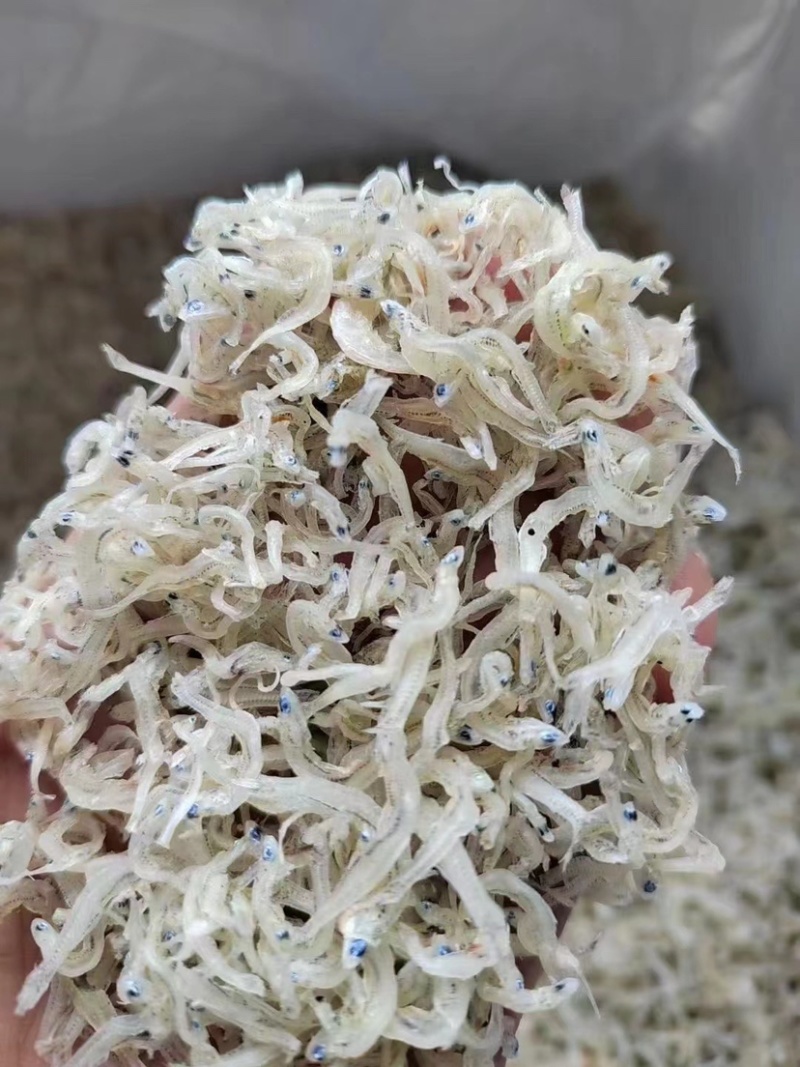 丁香鱼干东山岛拉山网香甜美味入口即化宝宝辅食