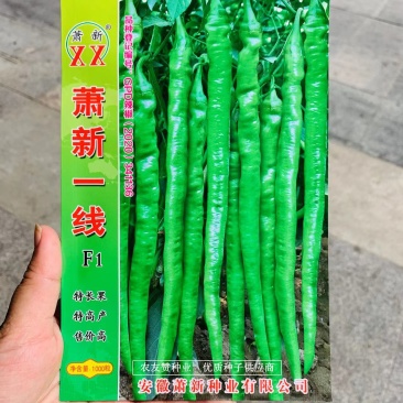 萧新特长果线椒种子早熟耐高温高湿，辣味香浓长线椒种子